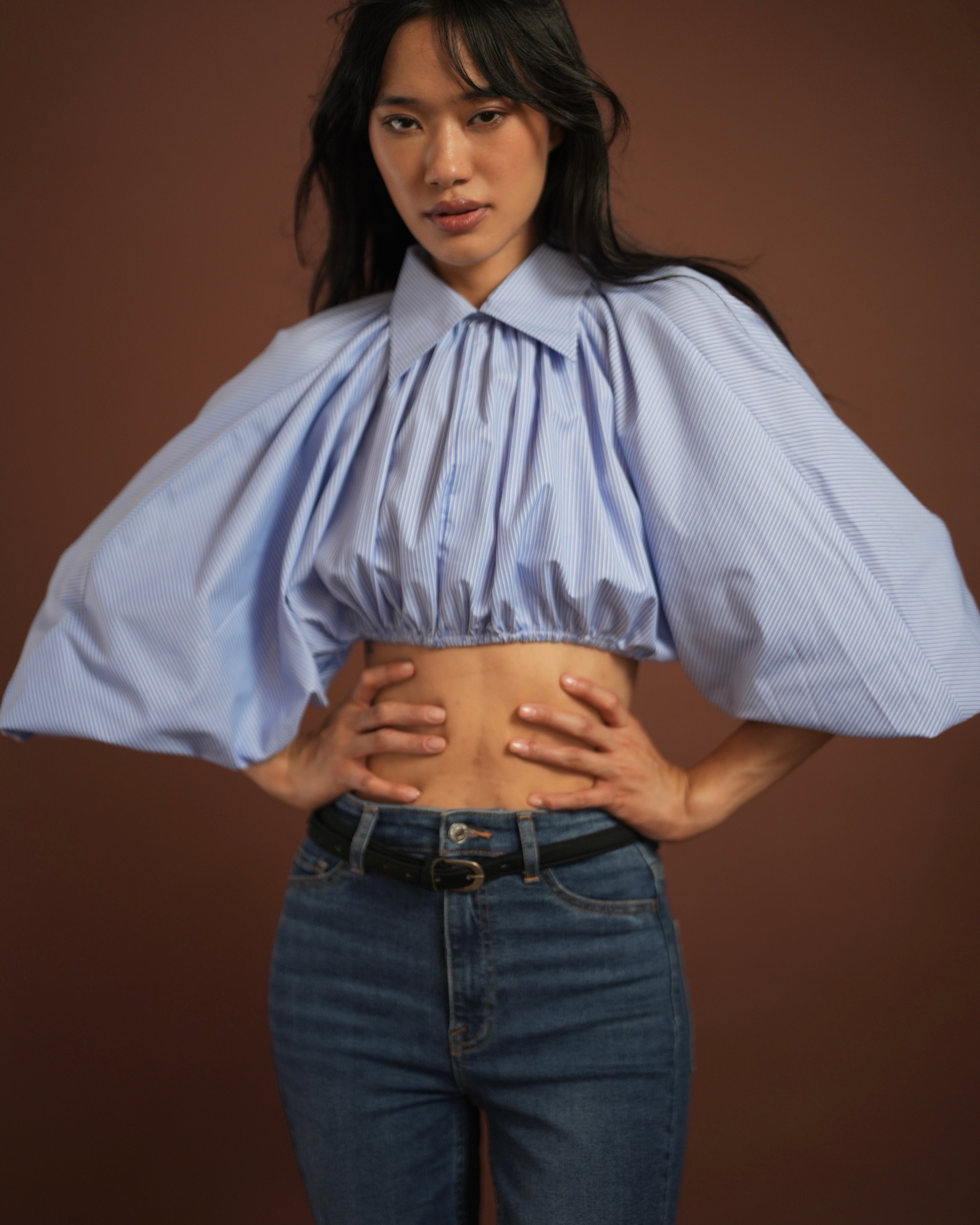 Pinstripe Cropped Shirt