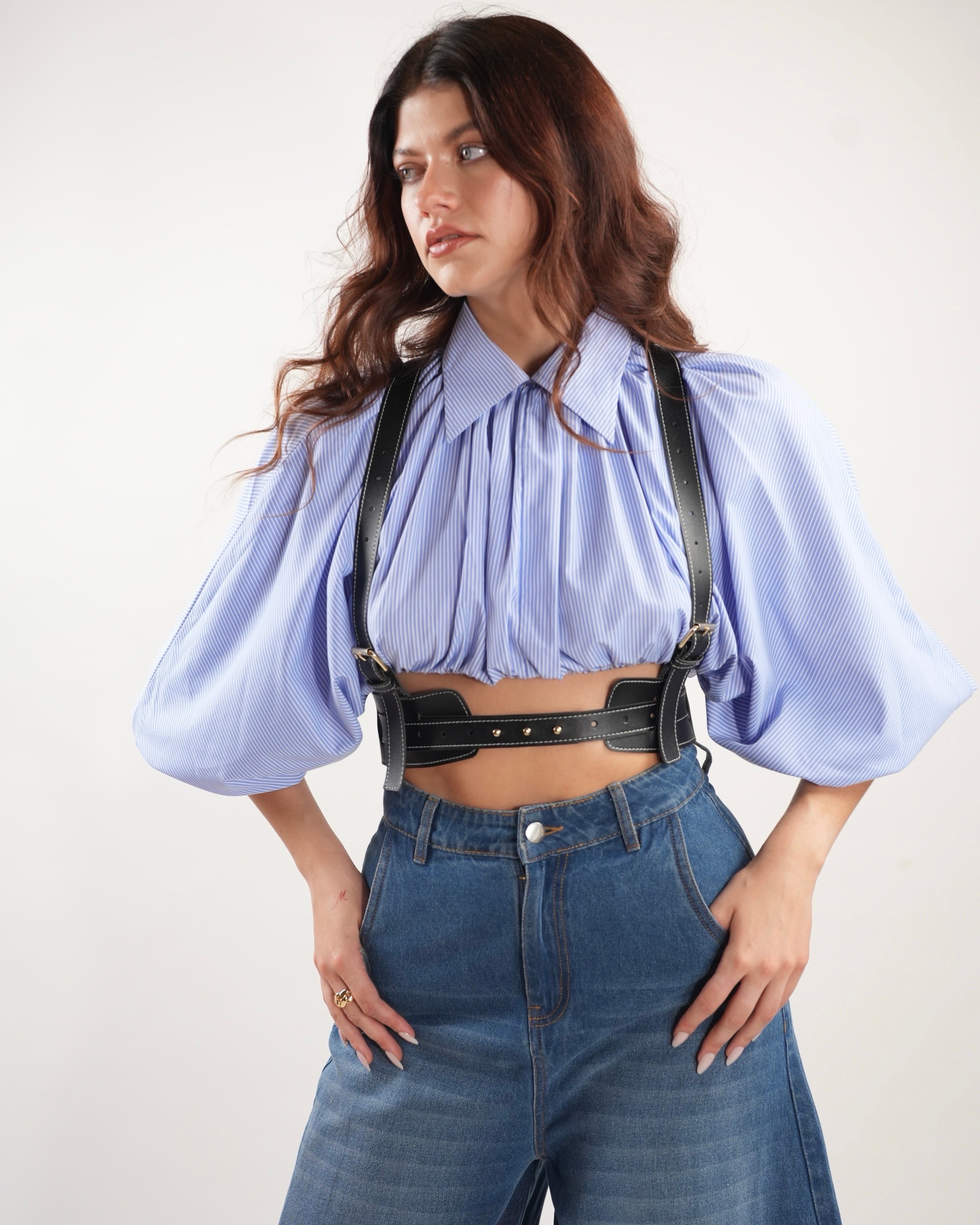 Single Harness 2.0 Belt