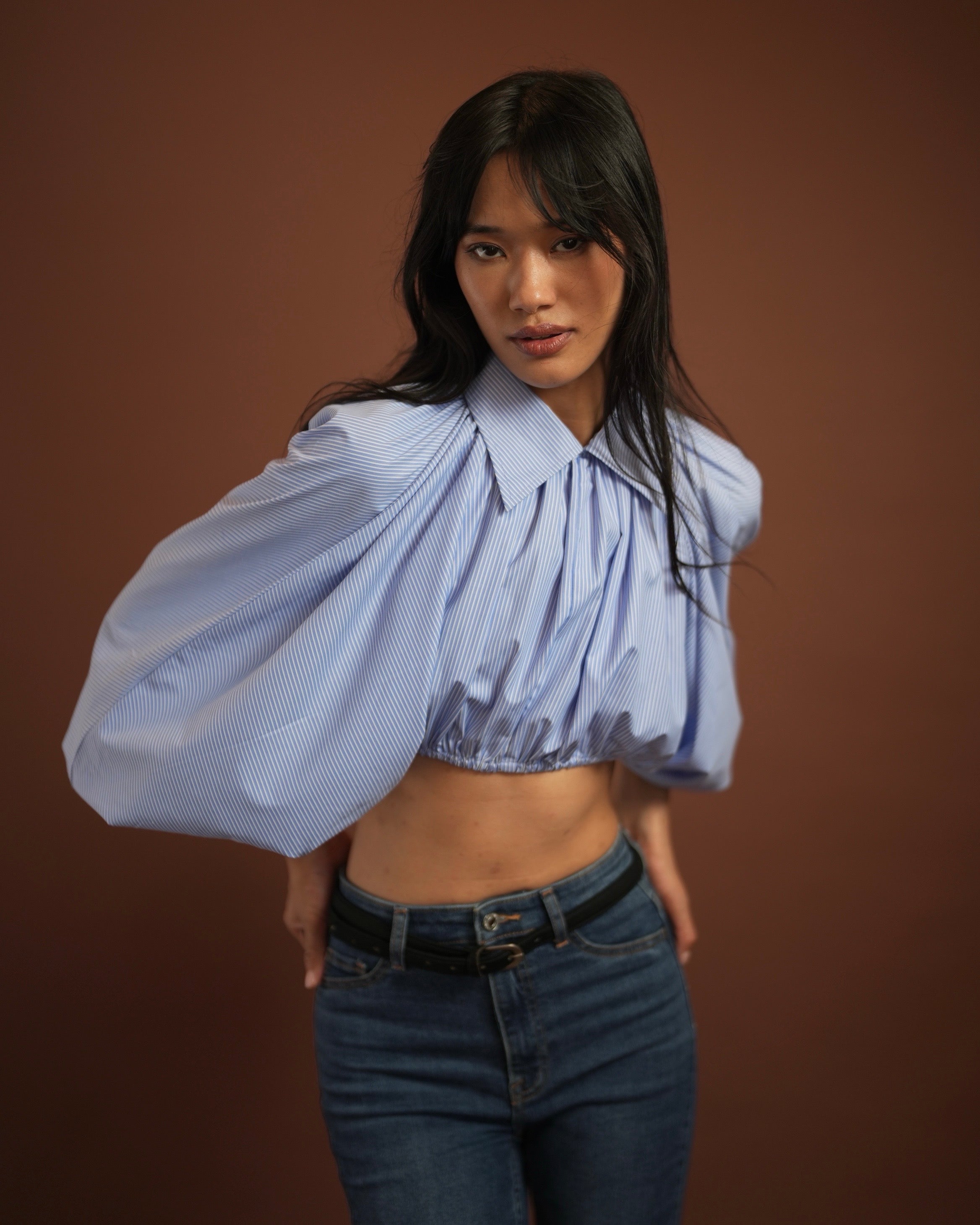 Pinstripe Cropped Shirt
