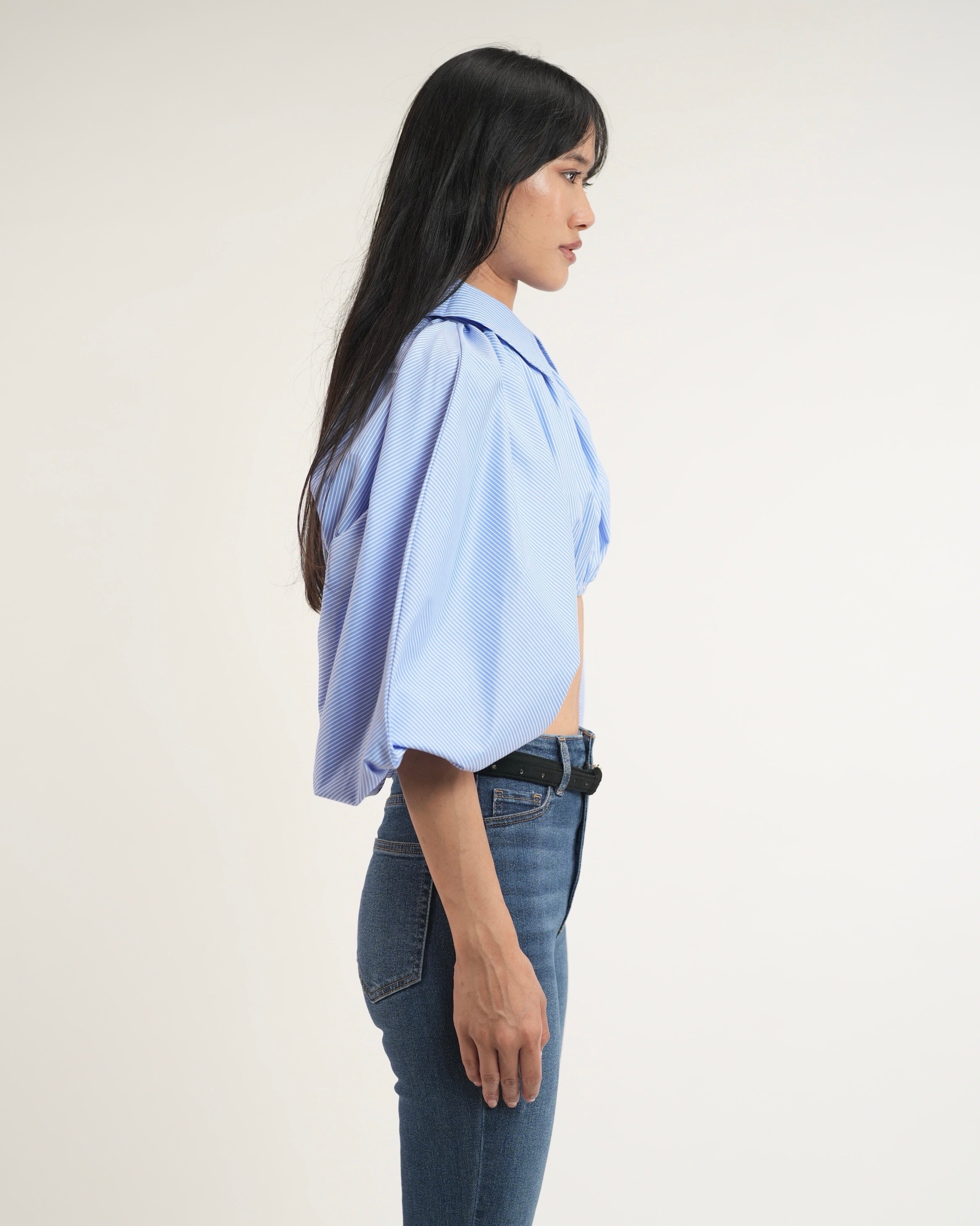 Pinstripe Cropped Shirt