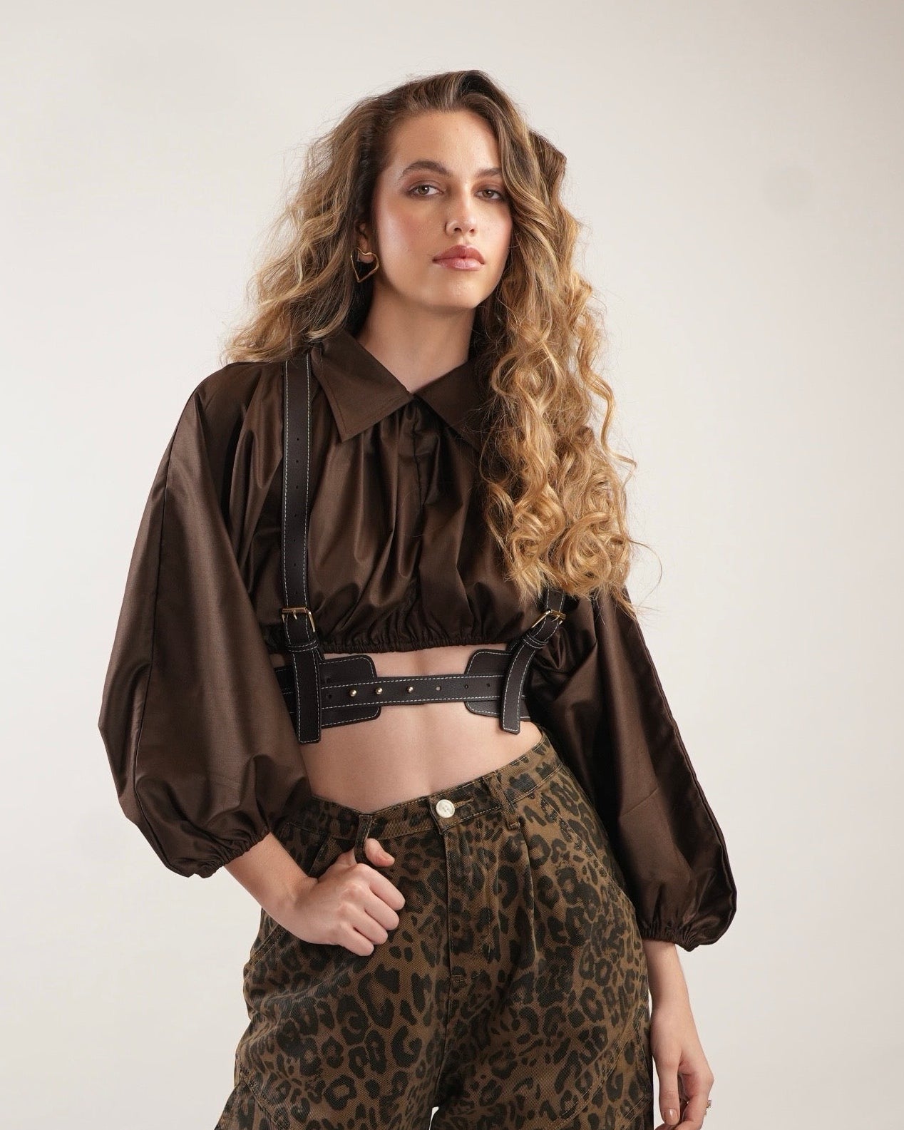 Single Harness 2.0 Belt