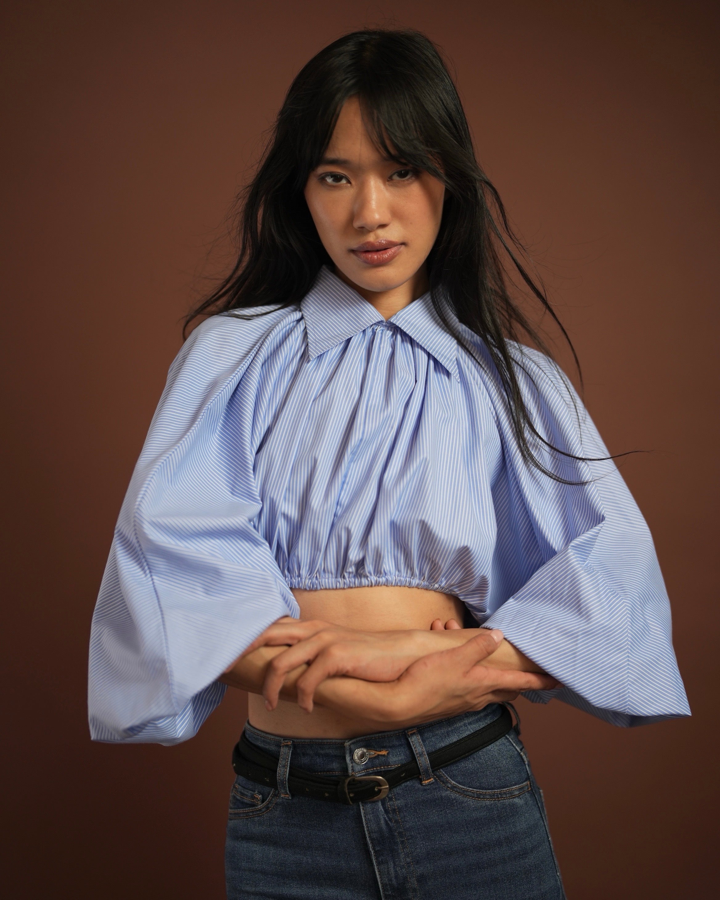 Pinstripe Cropped Shirt