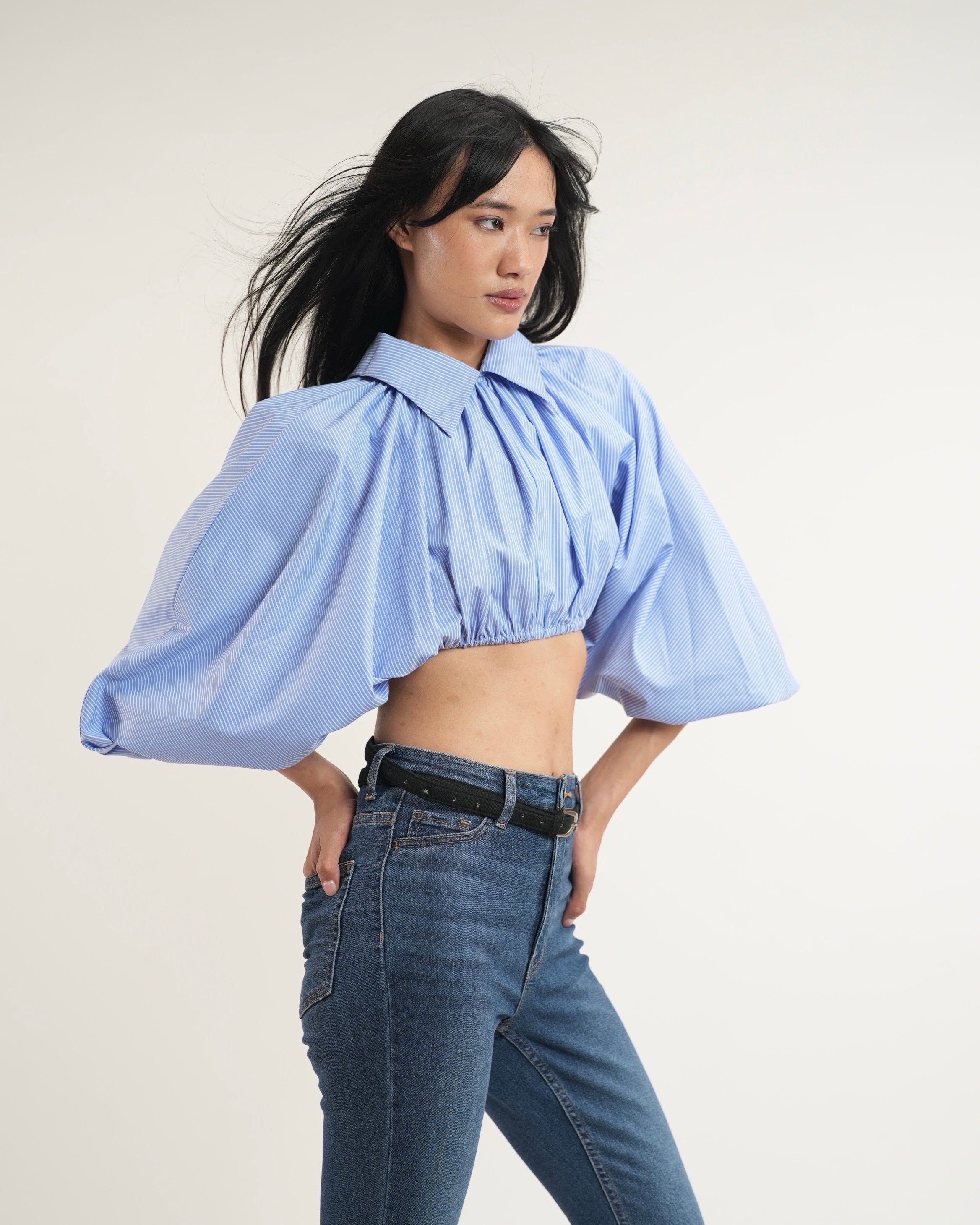 Pinstripe Cropped Shirt