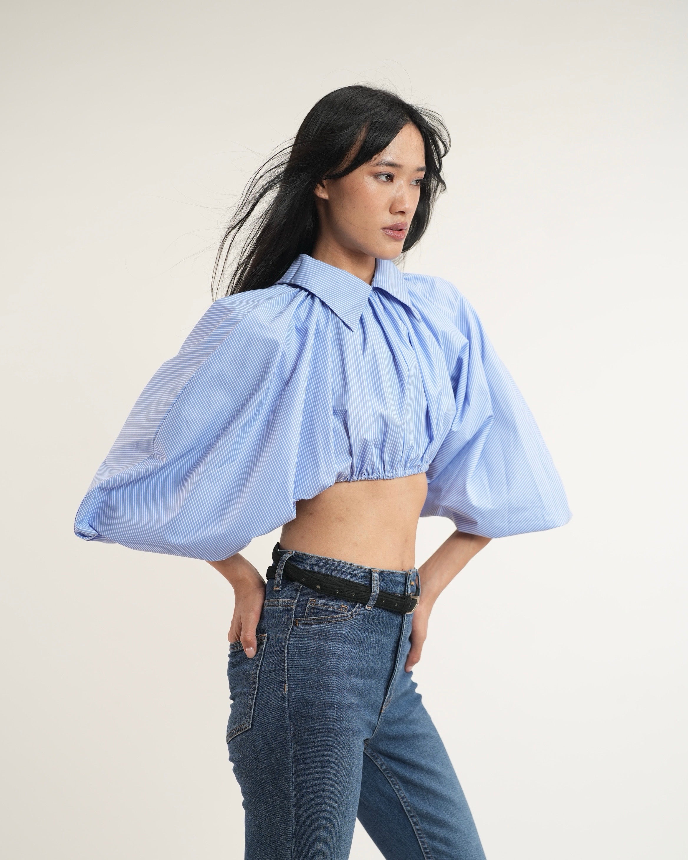 Pinstripe Cropped Shirt