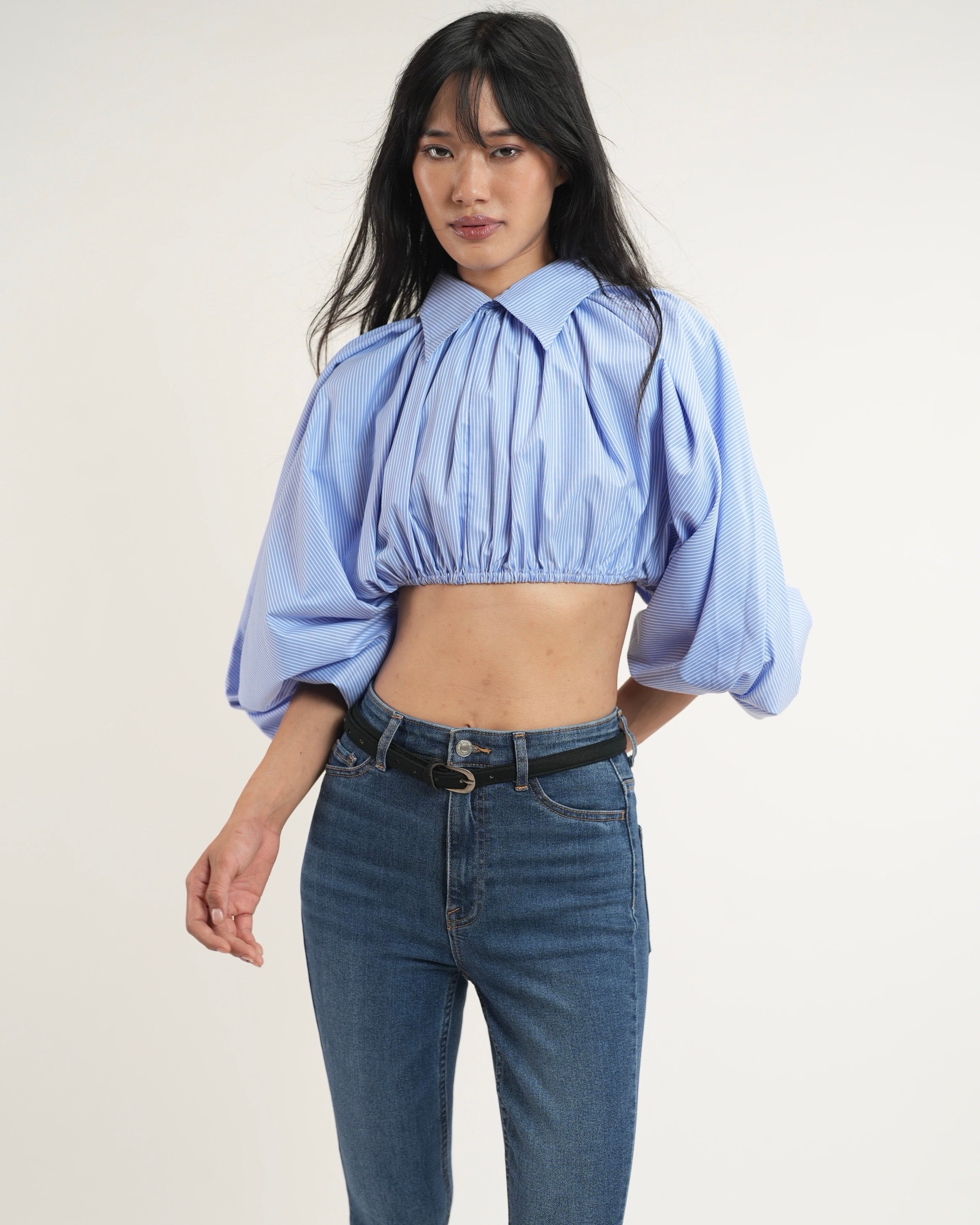 Pinstripe Cropped Shirt