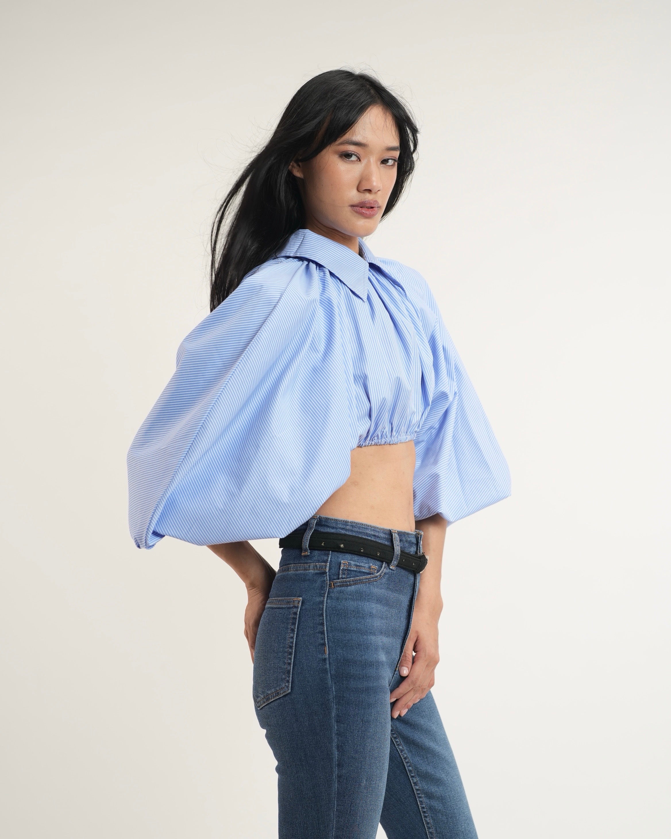 Pinstripe Cropped Shirt