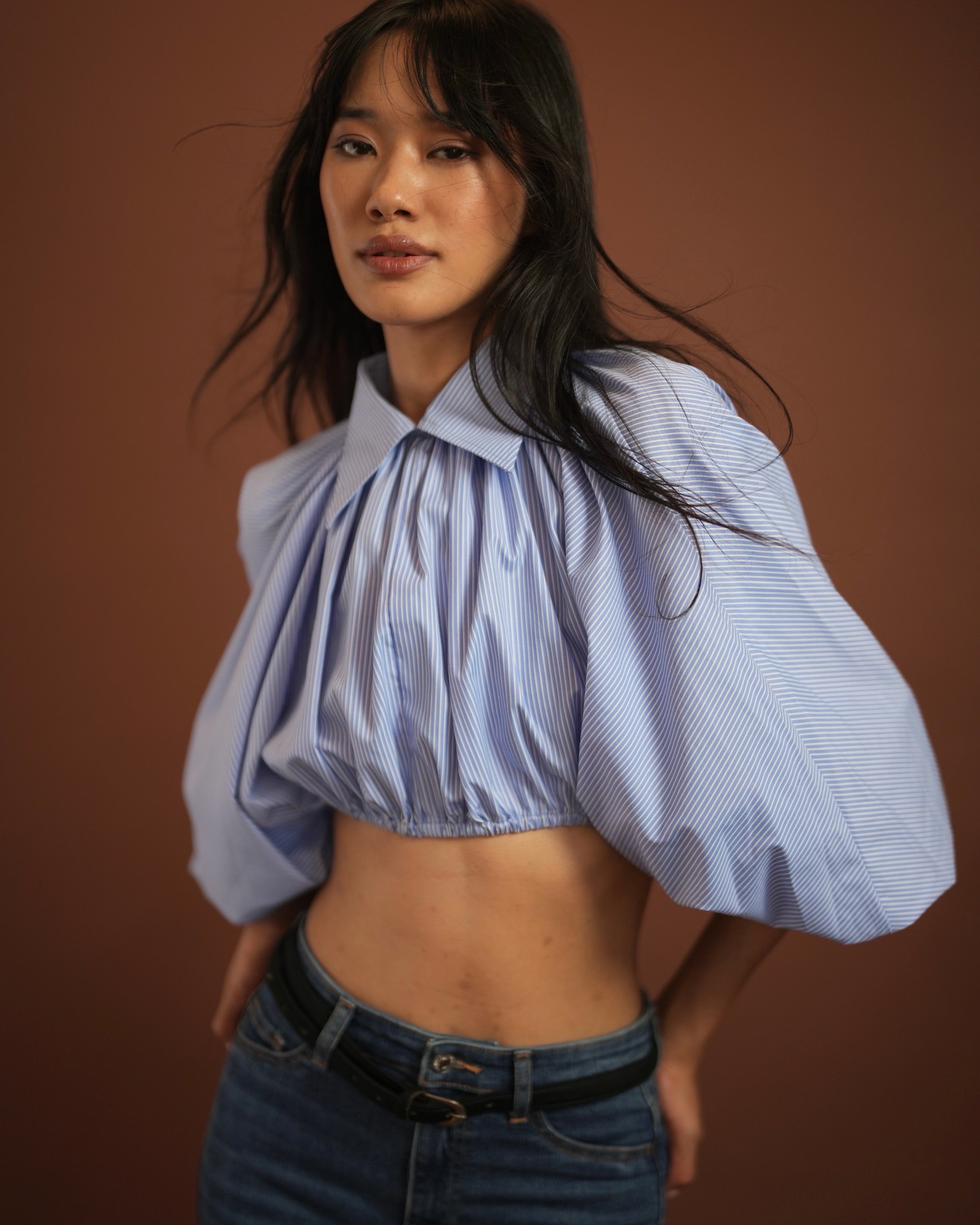 Pinstripe Cropped Shirt